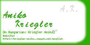 aniko kriegler business card